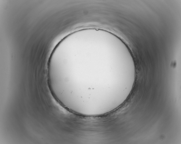 X0000090751527200708172017