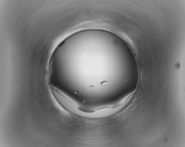 X0000090751528200708172017