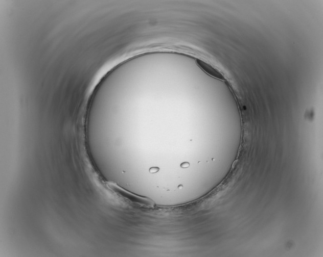 X0000090751530200708172017