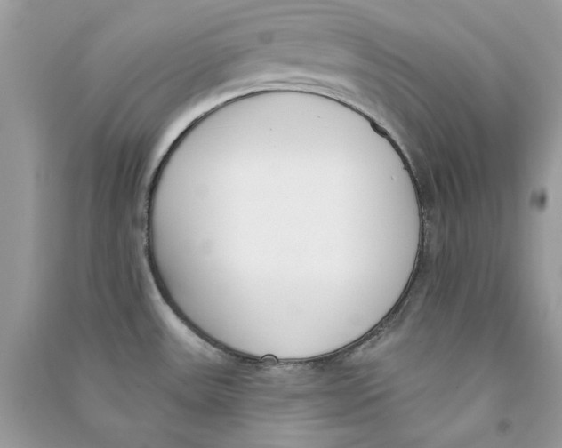 X0000090751531200708172017