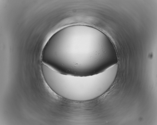 X0000090751532200708172017