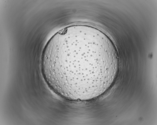 X0000090751533200708172017
