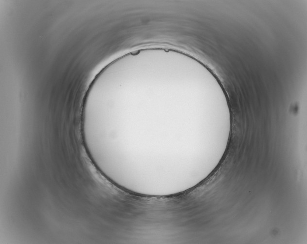 X0000090751534200708172017