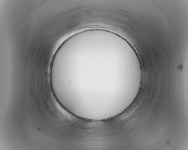 X0000090751535200708172017