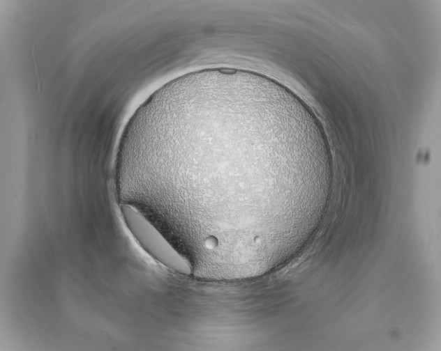 X0000090751536200708172017