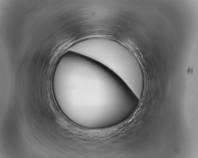 X0000090760001200707201103