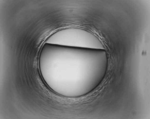 X0000090760002200707201103