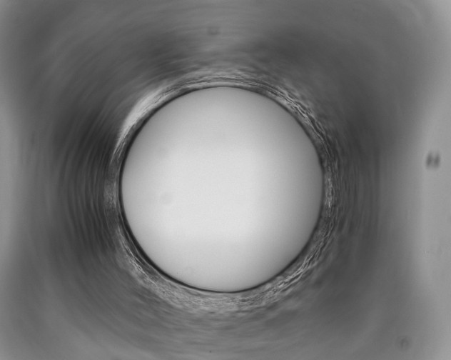 X0000090760004200707201103