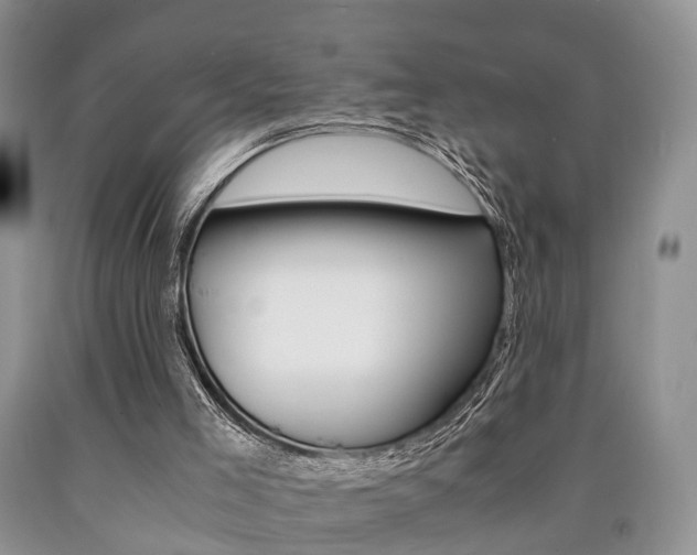 X0000090760005200707201103