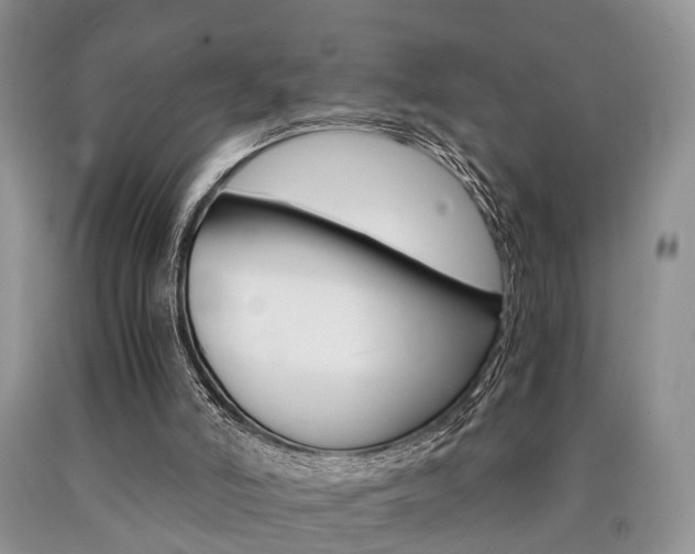 X0000090760006200707201103