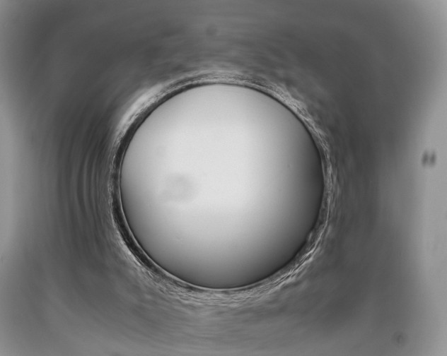 X0000090760007200707201103