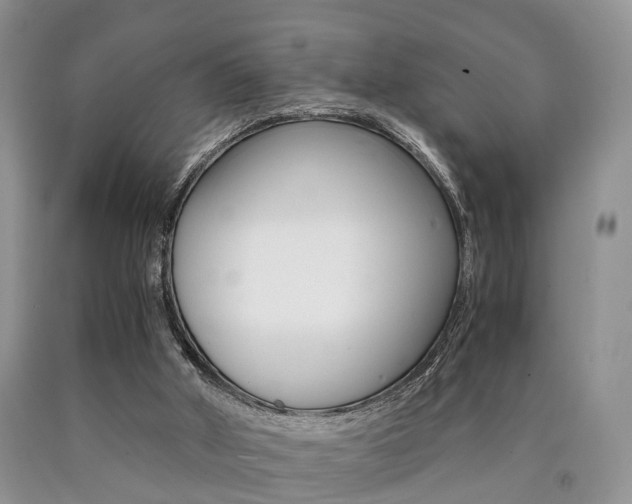 X0000090760010200707201103