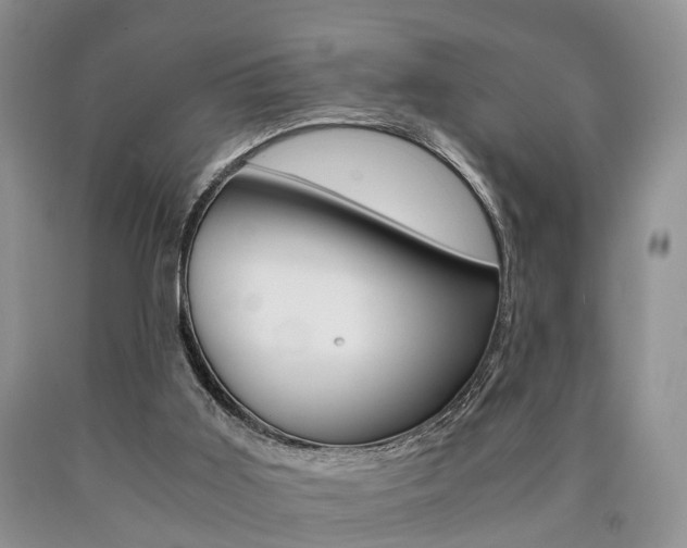 X0000090760011200707201103