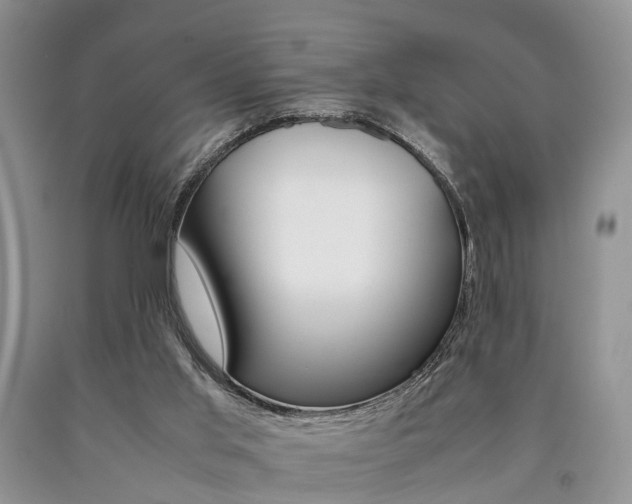 X0000090760013200707201103