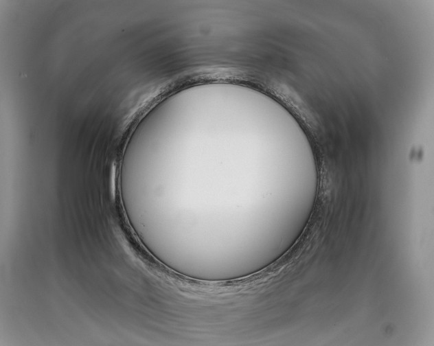 X0000090760014200707201103