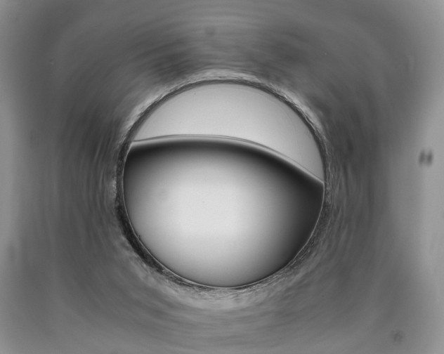 X0000090760015200707201103