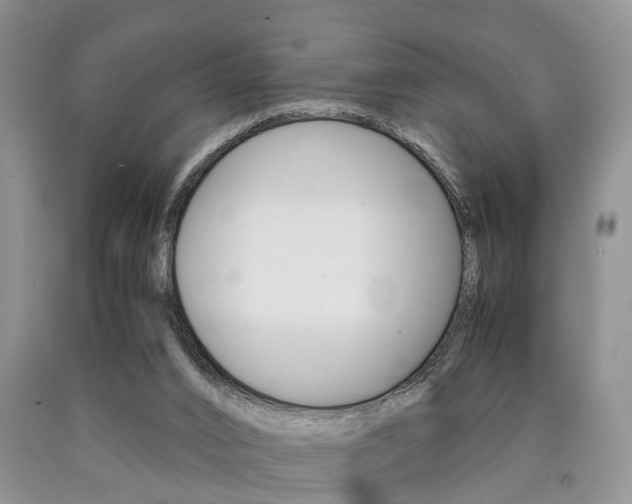 X0000090760016200707201103