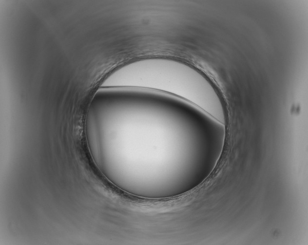 X0000090760017200707201103