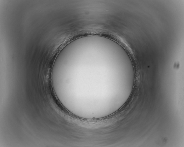 X0000090760018200707201103