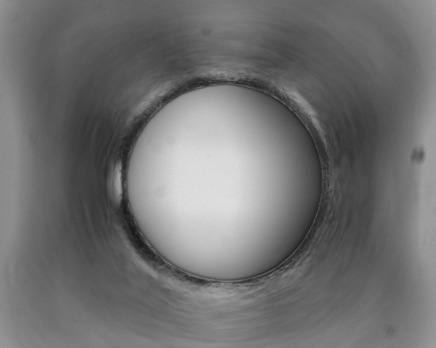 X0000090760020200707201103