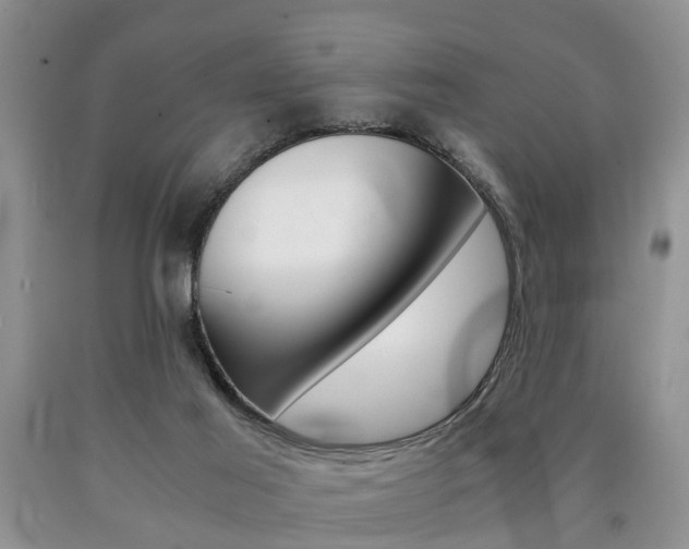 X0000090760021200707201103