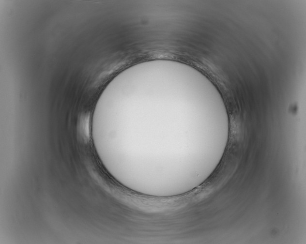 X0000090760028200707201103