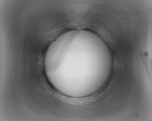 X0000090760030200707201103