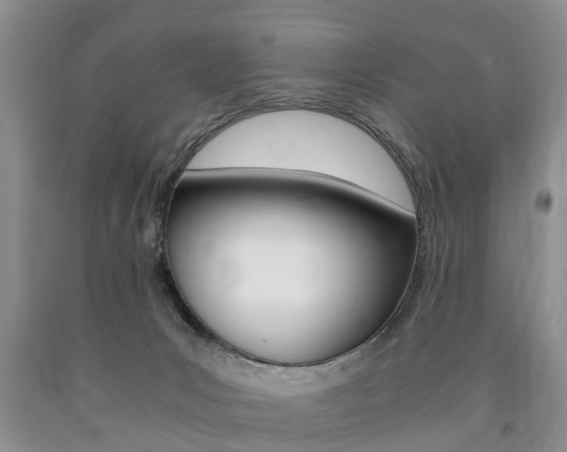 X0000090760031200707201103