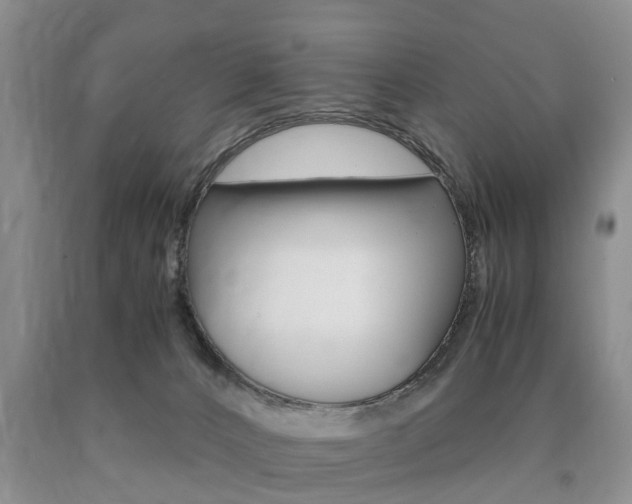 X0000090760032200707201103