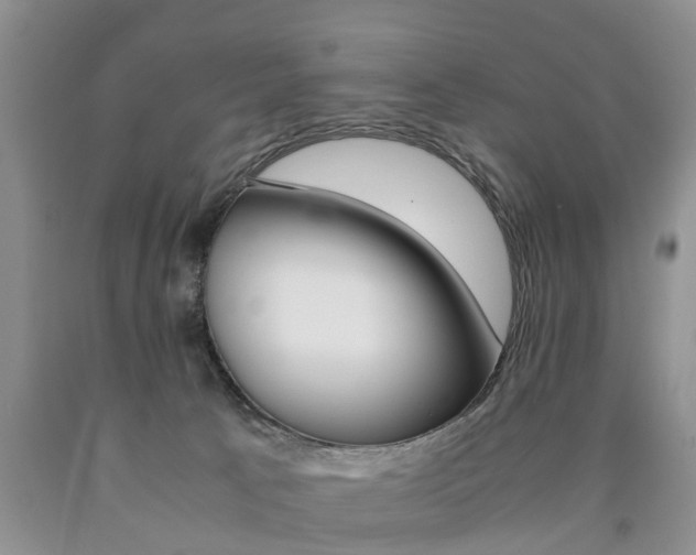 X0000090760033200707201103