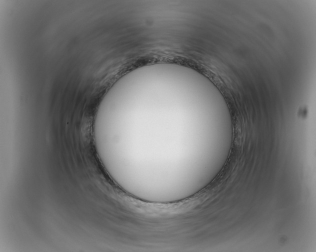 X0000090760034200707201103