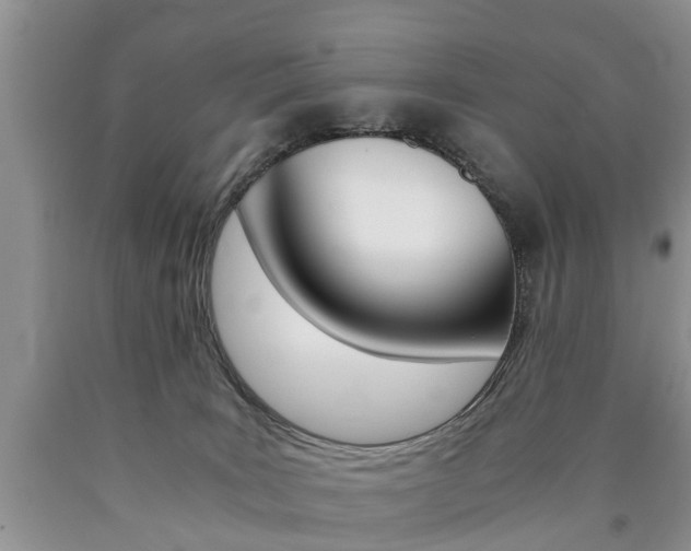 X0000090760035200707201103