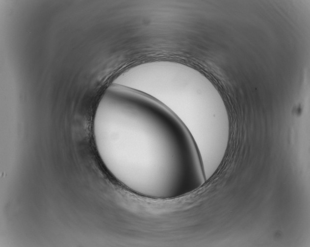 X0000090760039200707201103