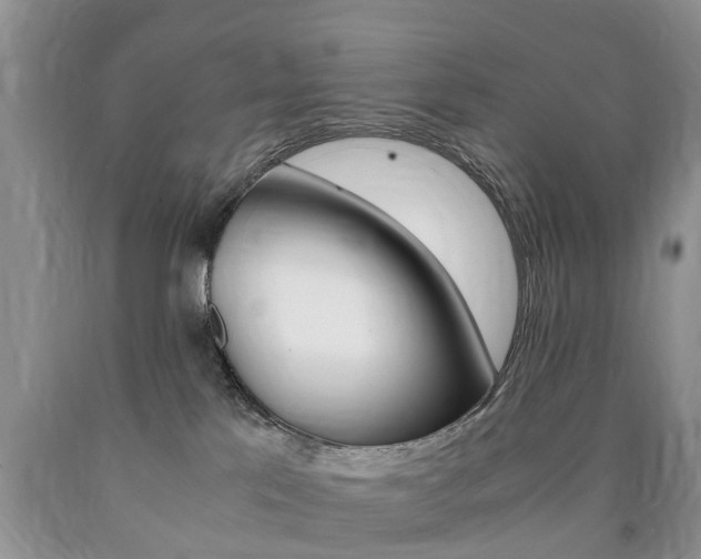 X0000090760041200707201103