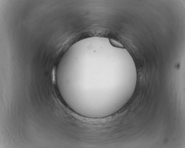 X0000090760042200707201103