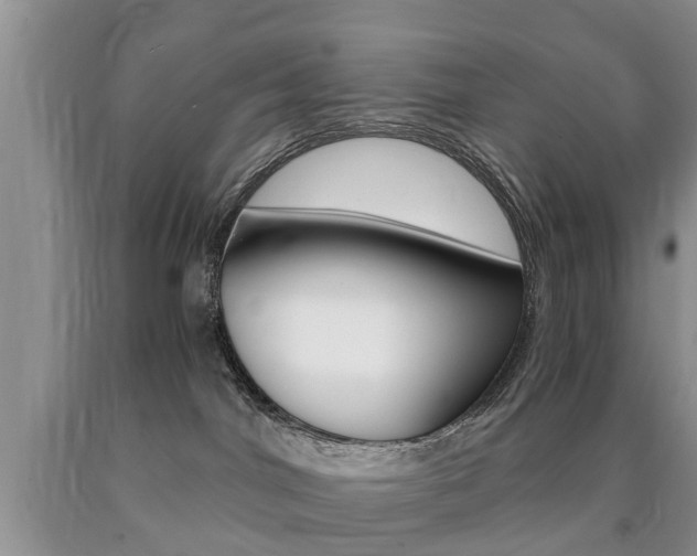 X0000090760044200707201103