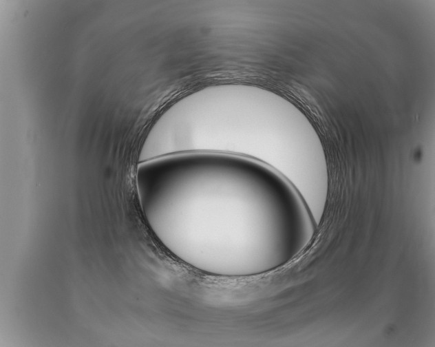 X0000090760045200707201102