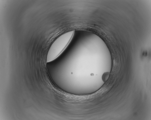 X0000090760048200707201102