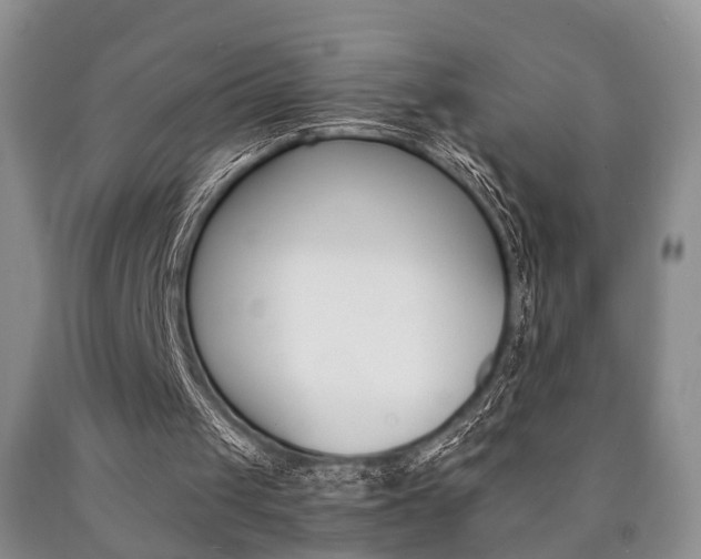 X0000090760049200707201102