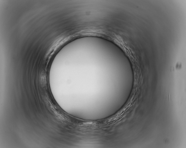 X0000090760050200707201102