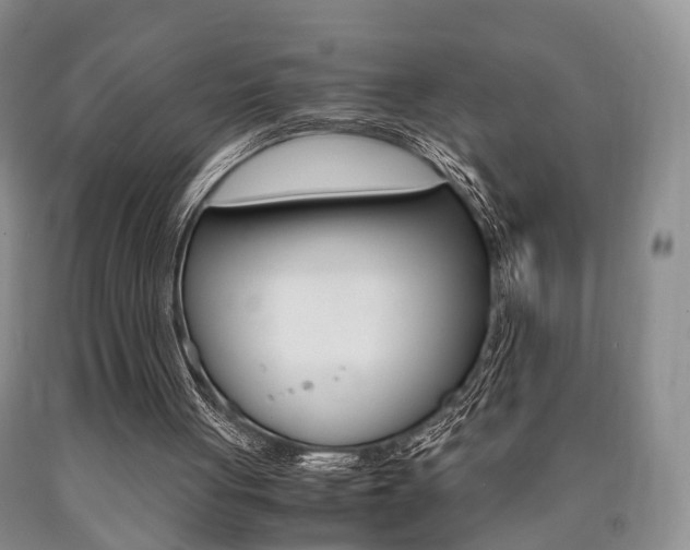 X0000090760051200707201102