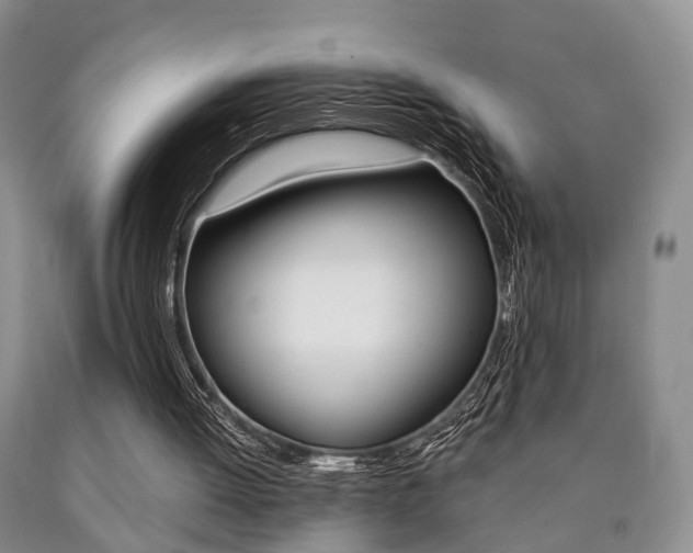 X0000090760052200707201102