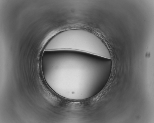 X0000090760054200707201102