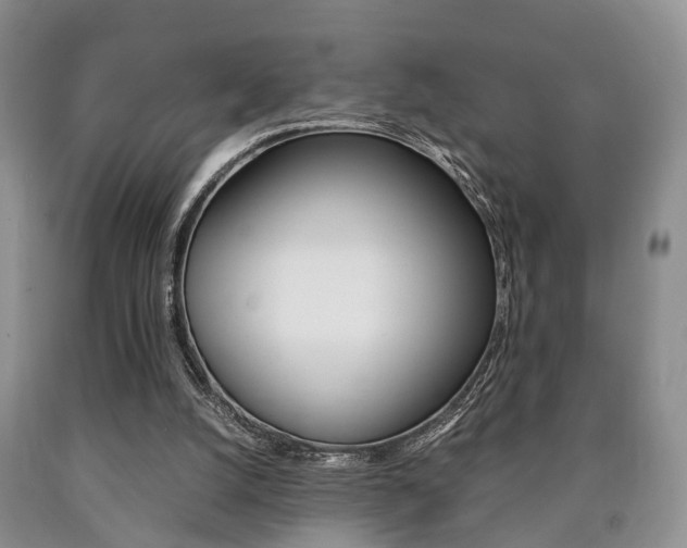 X0000090760056200707201102