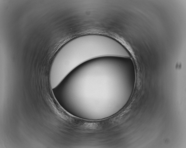 X0000090760057200707201102