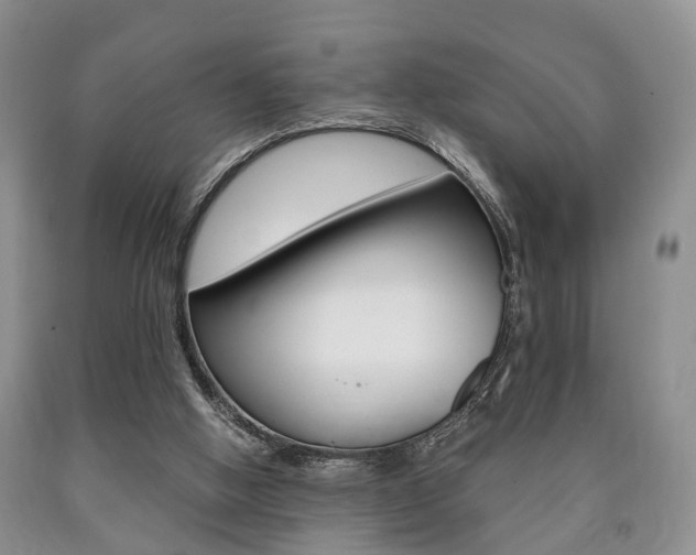 X0000090760058200707201102