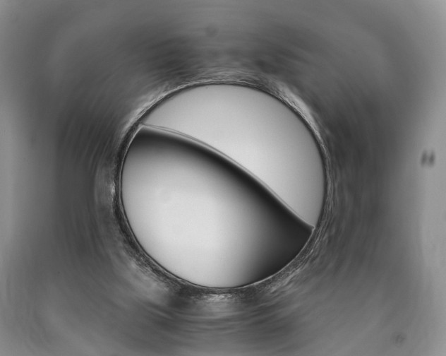 X0000090760059200707201102