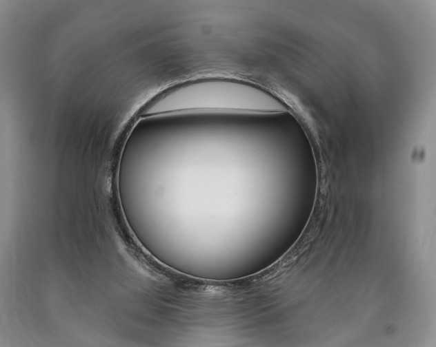 X0000090760060200707201102