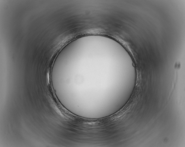 X0000090760061200707201102