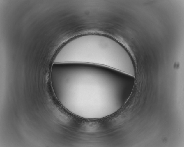 X0000090760063200707201102